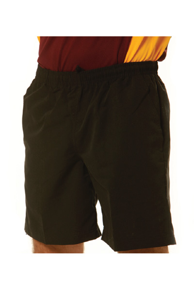 WinningSpirit SS29-Adult’s Microfibre Shorts - Click Image to Close